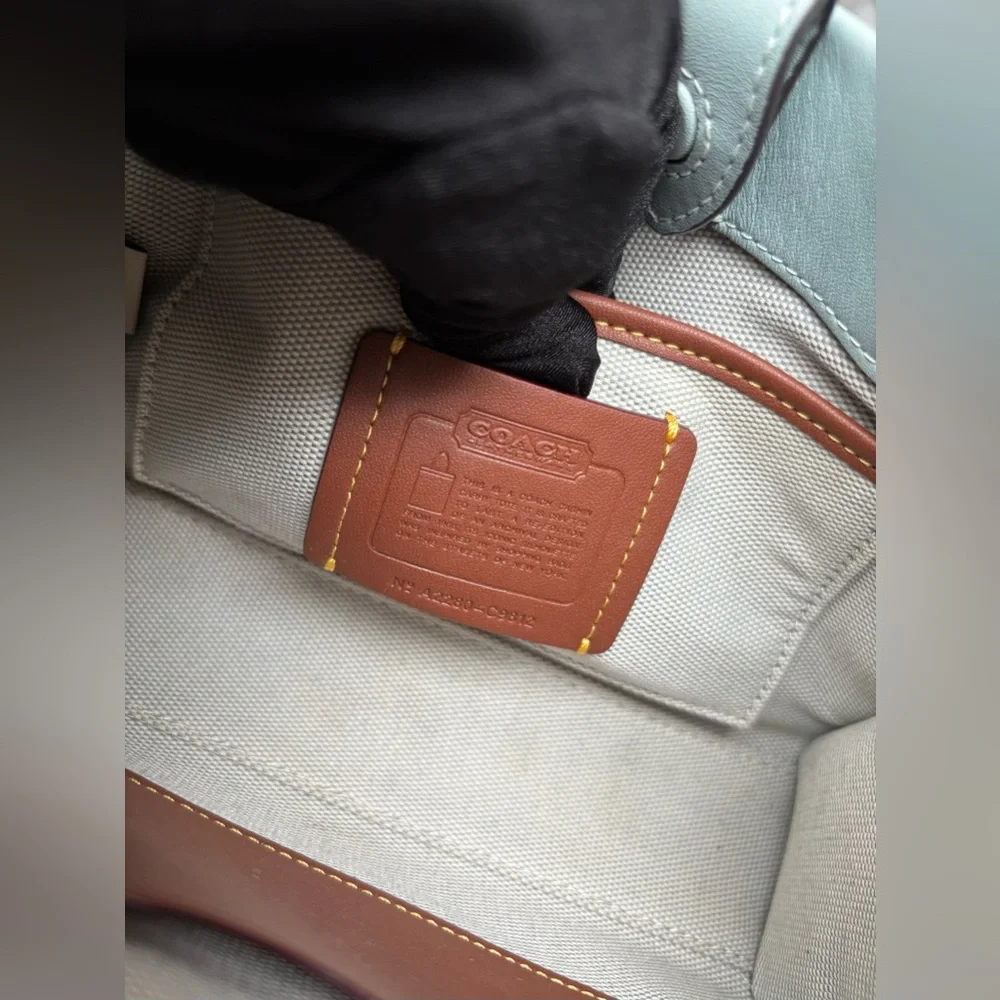 COACH Cashin Carry Tote 20